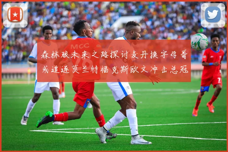 森林狼未来之路探讨麦丹换字母哥或追逐莫兰特福克斯欧文冲击总冠军